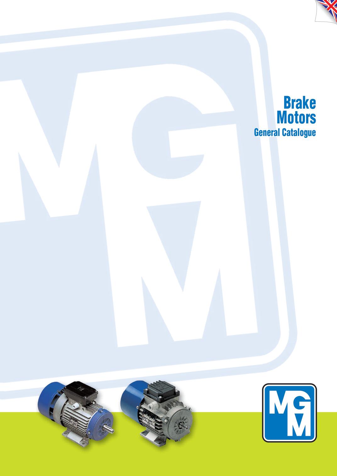 Brake Motors (EN)