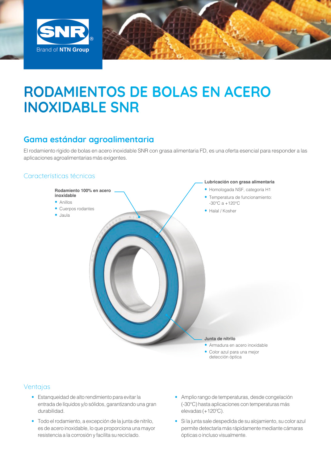 Rodamiento Bolas Inox